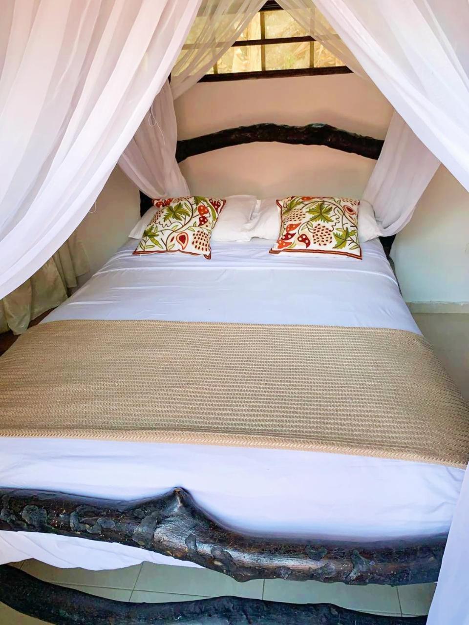 Villa Cata Hotel El Zaino Ngoại thất bức ảnh