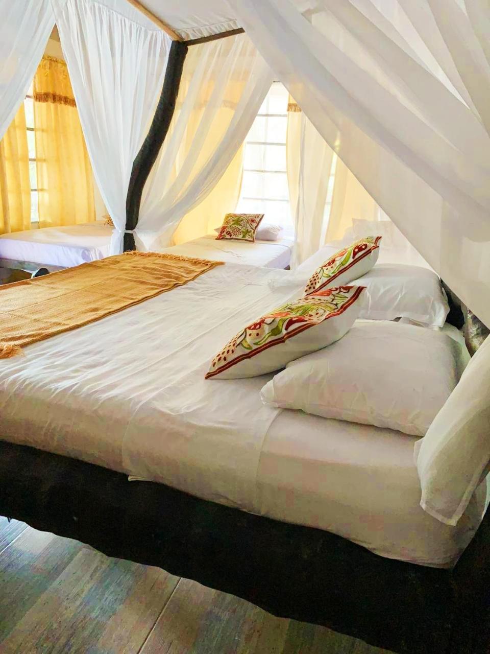 Villa Cata Hotel El Zaino Ngoại thất bức ảnh